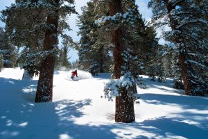 Freeride Schnals mit Bergführer
