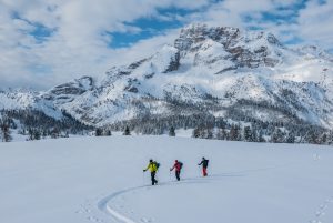 Skitouren individuell mit Bergführer